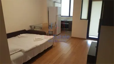 Apartment with 1 bedrooms for rent 30 sqm in Iasi, Copou area - Iasi