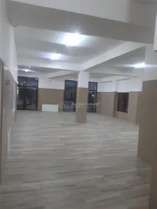 Spatiu comercial de inchiriat 230 mp Strada Petru Cercel - Regata - foto 3