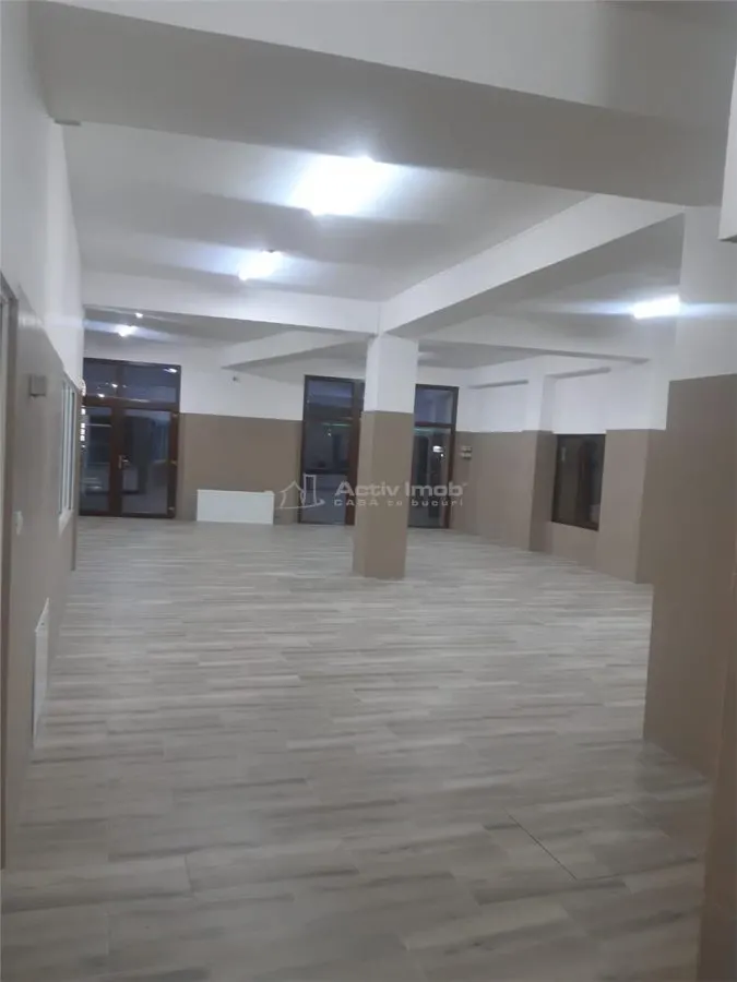 Spatiu comercial de inchiriat 230 mp Strada Petru Cercel - Regata - foto 3