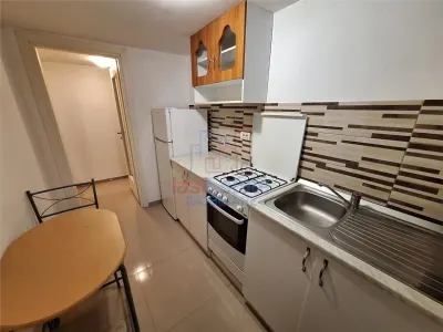 塔塔拉什街瓦尔特·马拉奇内亚努街两居公寓 - Iasi