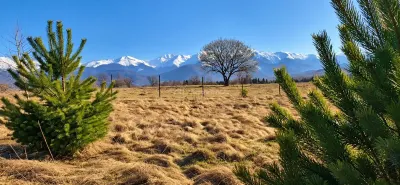 Teren intravilan cu vedere la munti de vanzare - Avrig