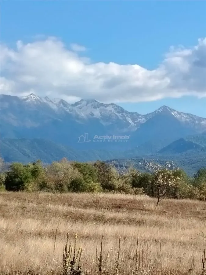 Teren intravilan cu vedere la munti de vanzare - foto 3