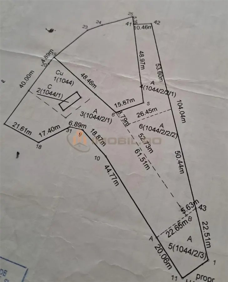Bucium, Plopii Fără Soț – Development Land for Sale - foto 2