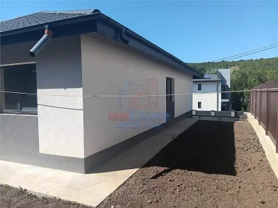 Vişan Single-Storey House, 4 Bedrooms, 400sqm Land, Main Street - foto 11
