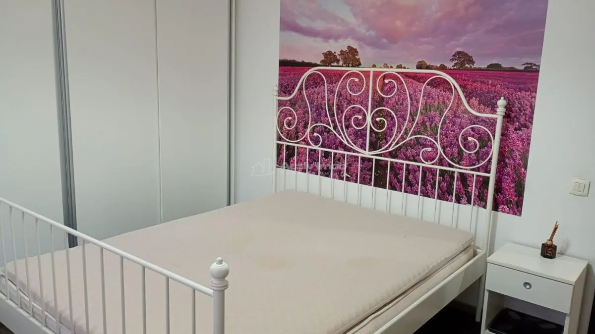 2 camere Bucurestii Noi, spatios - foto 11