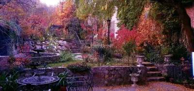 House / villa for sale 480 sqm in Bocsa - foto 2