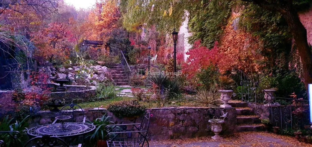 House / villa for sale 480 sqm in Bocsa - foto 2