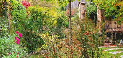 House / villa for sale 480 sqm in Bocsa - foto 16