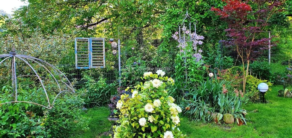 House / villa for sale 480 sqm in Bocsa - foto 24