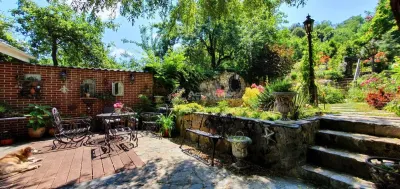 House / villa for sale 480 sqm in Bocsa - foto 4