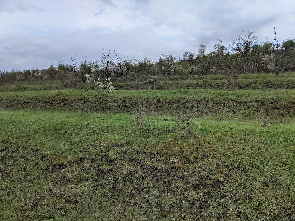 Teren extravilan de 10.000 mp in Santuhalm, cu priveliste spre Cetatea Deva - foto 6