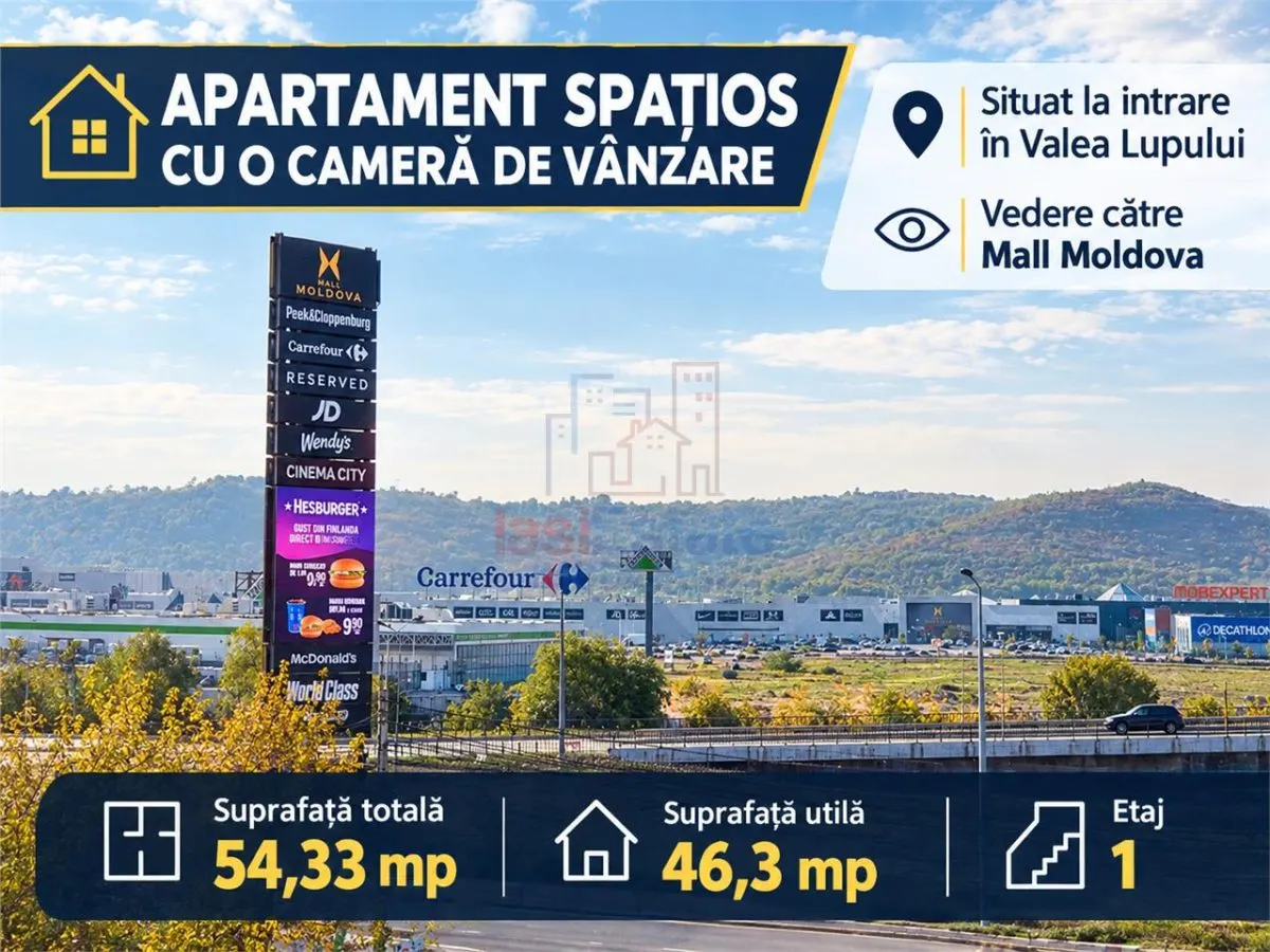 Spacious One-Bedroom Apartment for Sale in Valea Lupului - foto 1