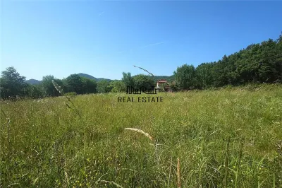 Teren intravilan de vanzare in Luncoiu de Jos, sat Luncoiu de Sus, 3000 mp - foto 3