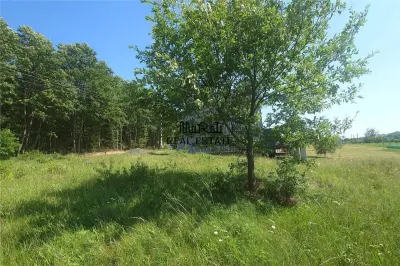 Teren intravilan de vanzare in Luncoiu de Jos, sat Luncoiu de Sus, 3000 mp - foto 6