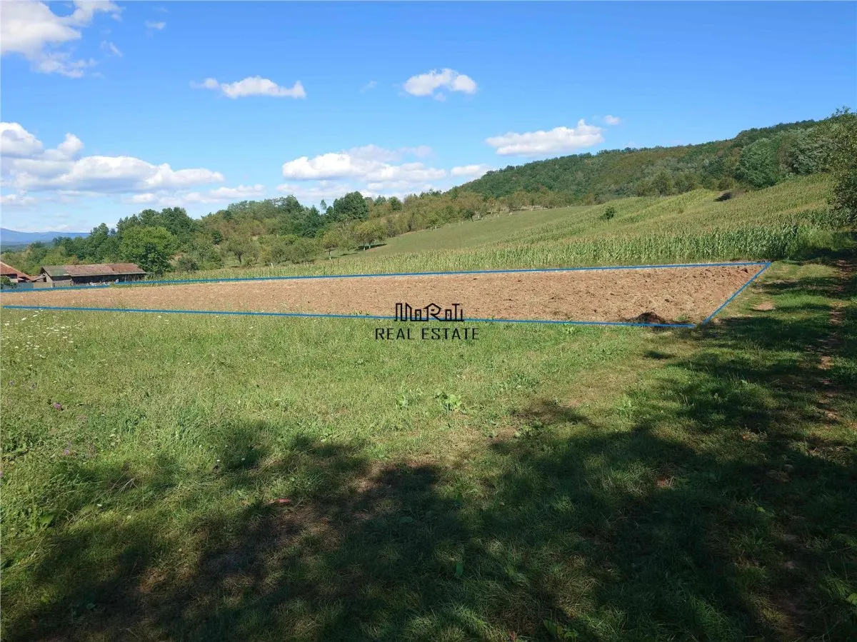 Teren intravilan pentru casa sau vacanta, Lunca, Baia de Cris - foto 1