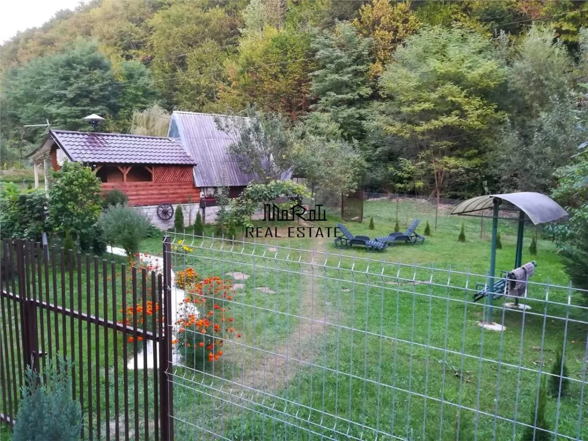 Étang de Pêche à Vendre dans les Apuseni – Hébergement, Loisirs et Pêche sur DN74 - foto 1