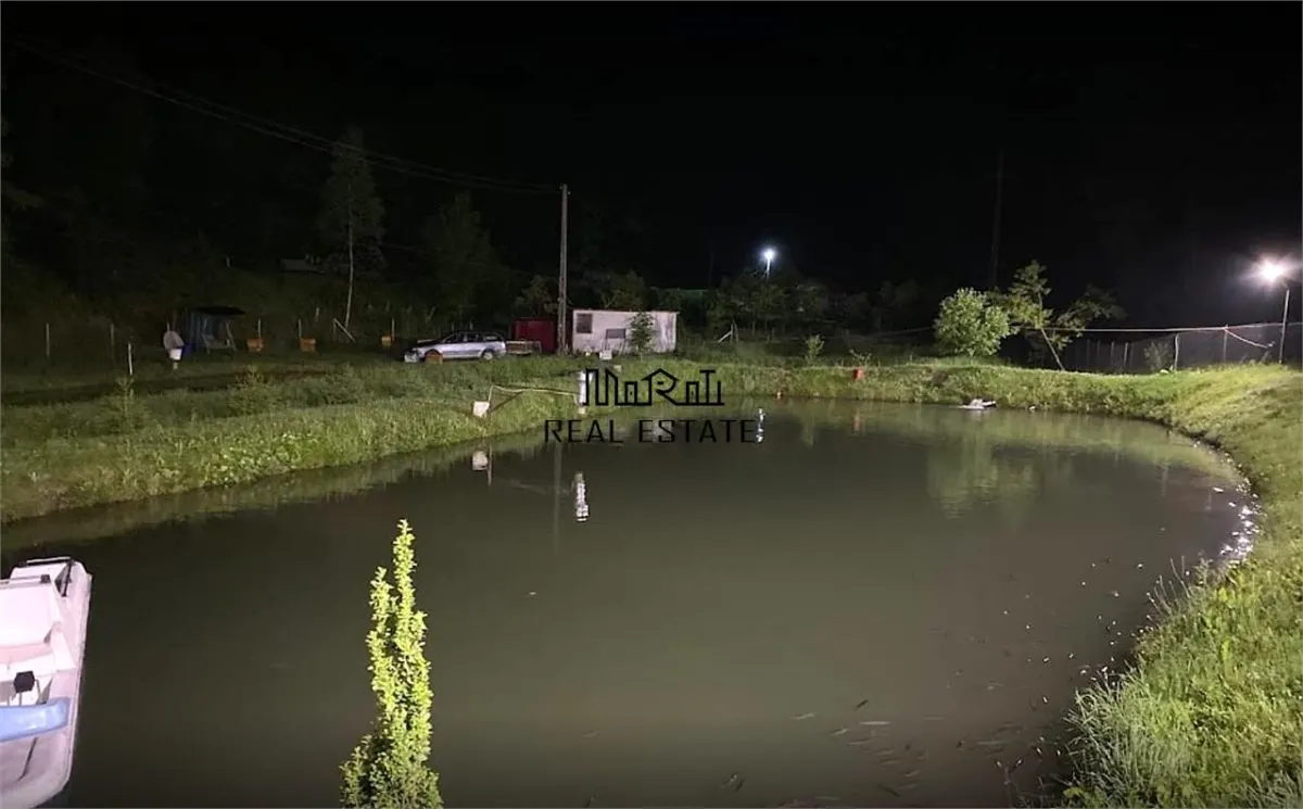 Étang de Pêche à Vendre dans les Apuseni – Hébergement, Loisirs et Pêche sur DN74 - foto 11