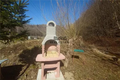 Étang de Pêche à Vendre dans les Apuseni – Hébergement, Loisirs et Pêche sur DN74 - foto 16