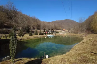 Étang de Pêche à Vendre dans les Apuseni – Hébergement, Loisirs et Pêche sur DN74 - foto 3
