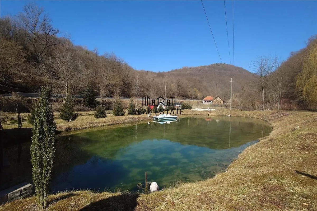 Étang de Pêche à Vendre dans les Apuseni – Hébergement, Loisirs et Pêche sur DN74 - foto 3