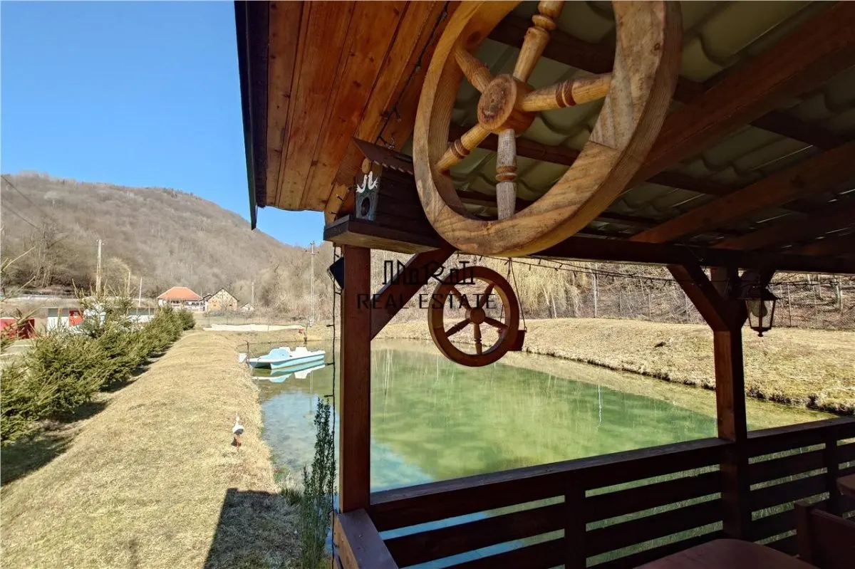 Étang de Pêche à Vendre dans les Apuseni – Hébergement, Loisirs et Pêche sur DN74 - foto 4