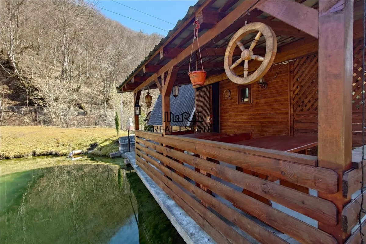 Étang de Pêche à Vendre dans les Apuseni – Hébergement, Loisirs et Pêche sur DN74 - foto 5