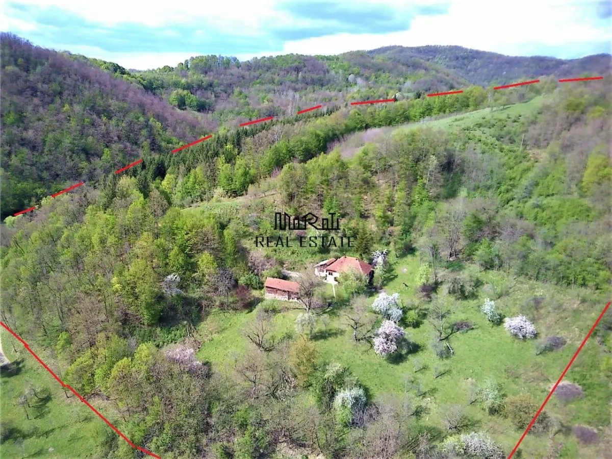 Domeniu de 7 ha in Apuseni - Criscior, Hunedoara - foto 1