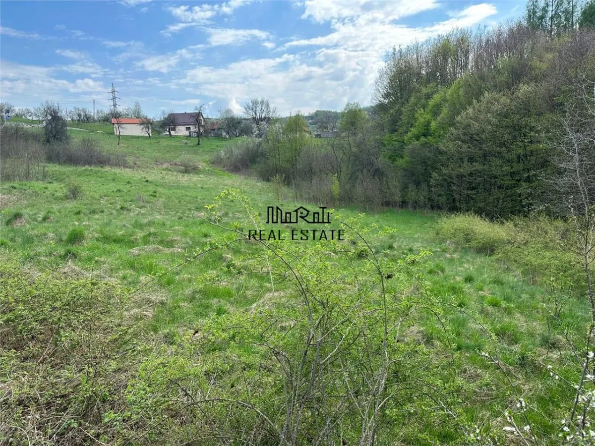 Terenuri extravilane in Luncoiu de Sus, Hunedoara - foto 1