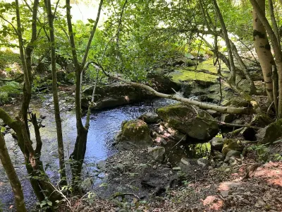 Pensiune Bulzestii de Sus - foto 5