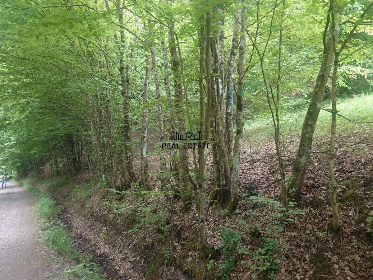 Teren in Bulzestii de Sus 3700mp - foto 1