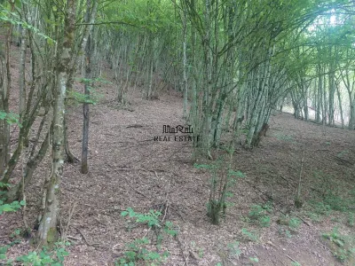 Teren in Bulzestii de Sus 3700mp - foto 5