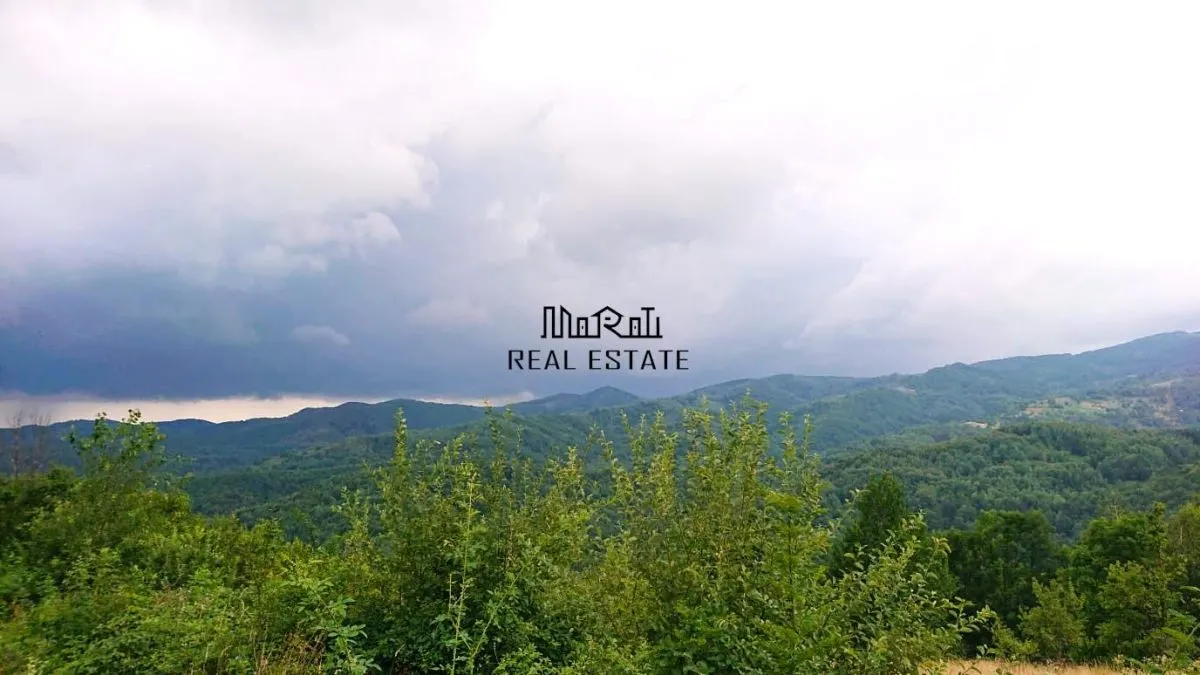 Teren cu Padure in Bulzestii de Sus 4200mp - foto 1