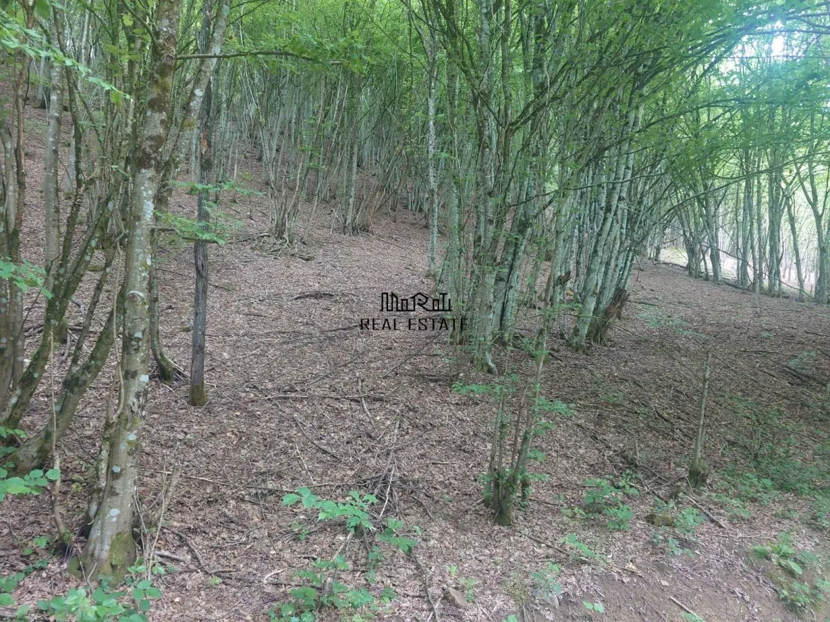 Teren in Bulzestii de Sus 710mp - foto 1