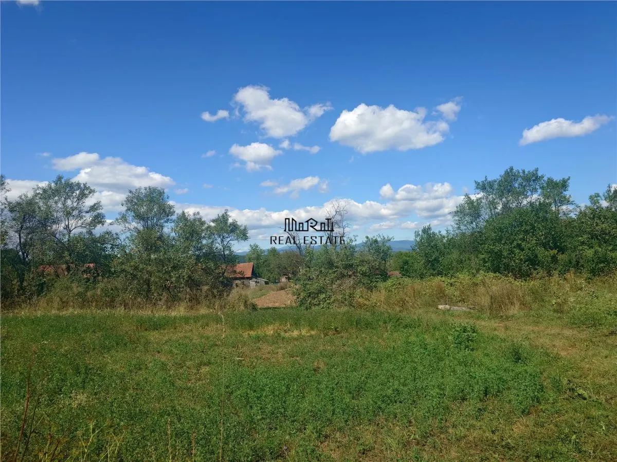 Teren intravilan si cladiri in Lunca - foto 1
