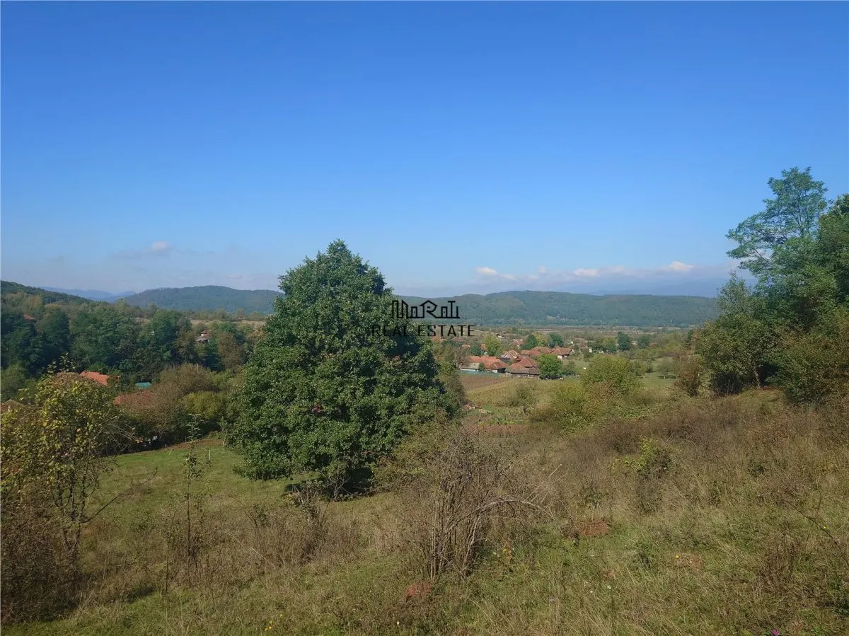 Teren intravilan si cladiri in Lunca - foto 2