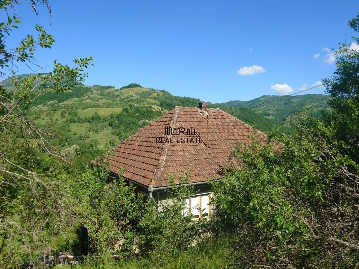 3,5 ha Teren si cladiri in Blajeni - foto 1
