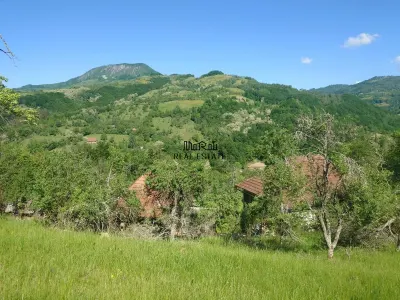 3,5 ha Teren si cladiri in Blajeni - foto 2
