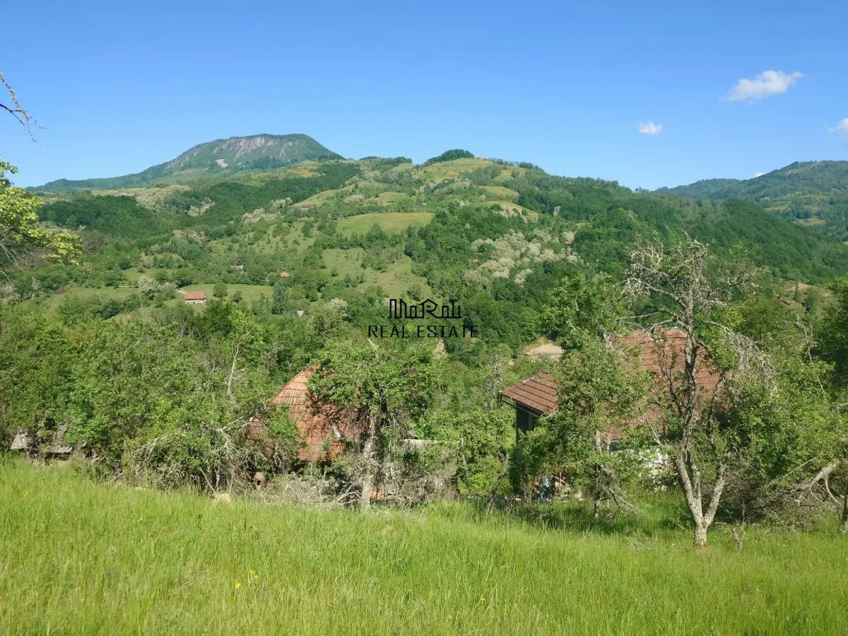 3,5 ha Teren si cladiri in Blajeni - foto 2