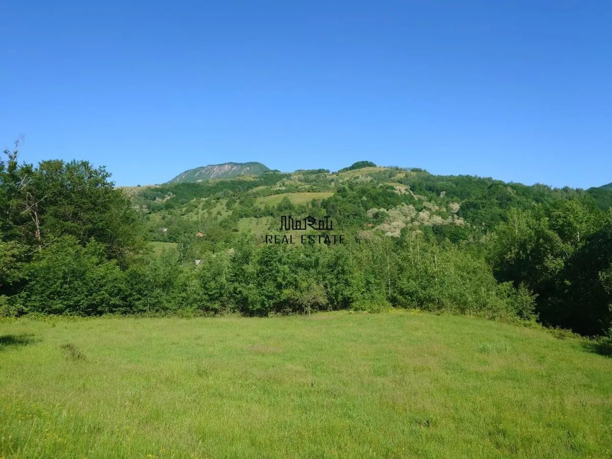 3,5 ha Teren si cladiri in Blajeni - foto 11