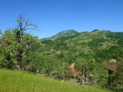 3,5 ha Teren si cladiri in Blajeni - foto 12