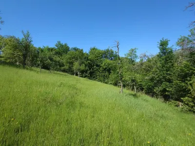 3,5 ha Teren si cladiri in Blajeni - foto 16