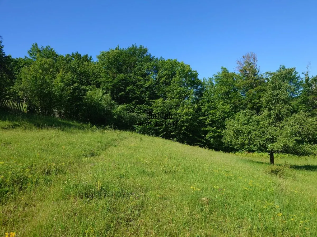 3,5 ha Teren si cladiri in Blajeni - foto 10