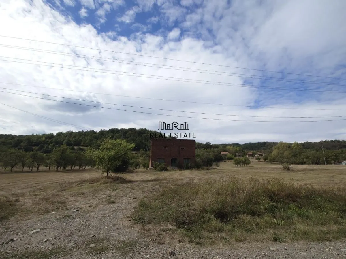Teren si Casa Mihaileni - foto 2