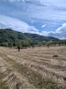 Teren si Casa Mihaileni - foto 17