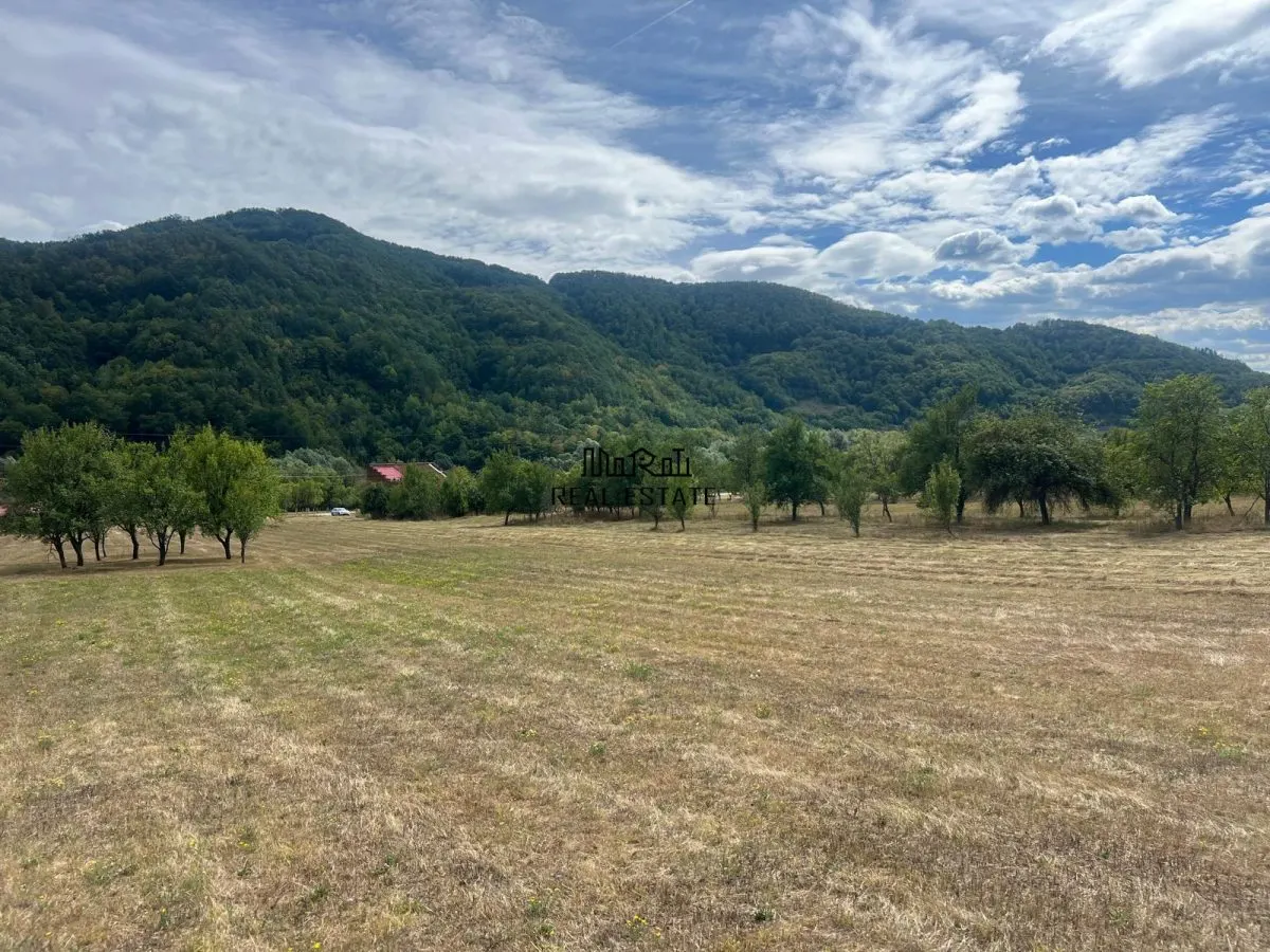 Teren si Casa Mihaileni - foto 4