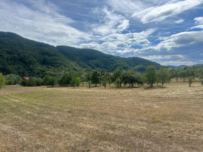 Teren si Casa Mihaileni - foto 10