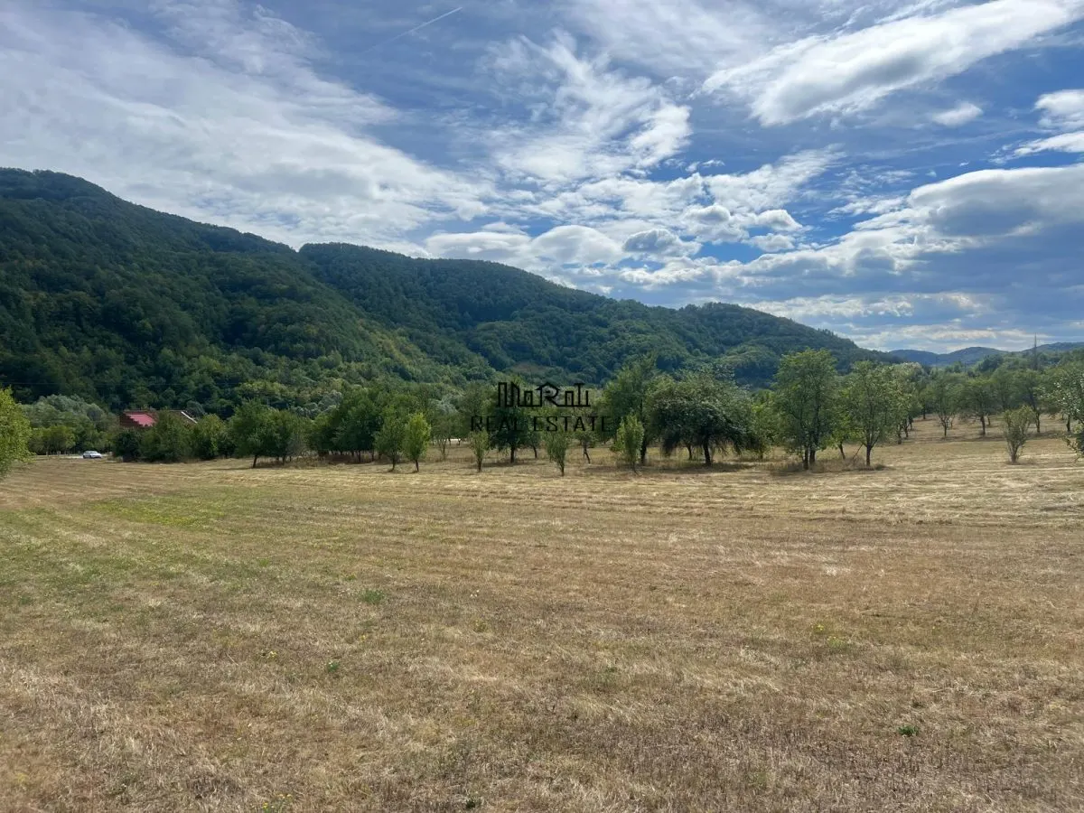 Teren si Casa Mihaileni - foto 10