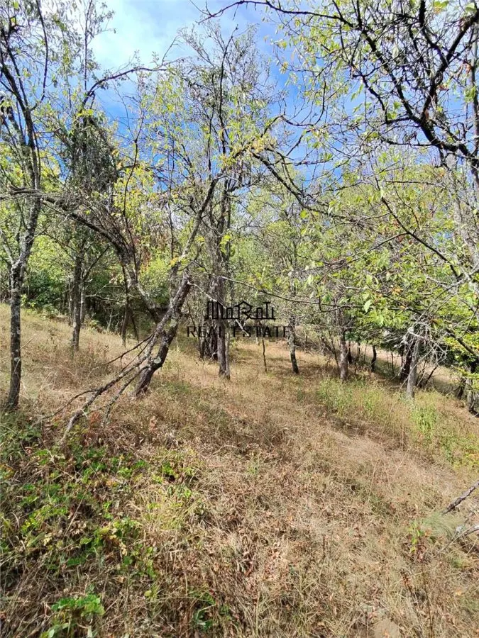 888 mp teren cu priveliste si cladiri in Mihaileni - foto 15