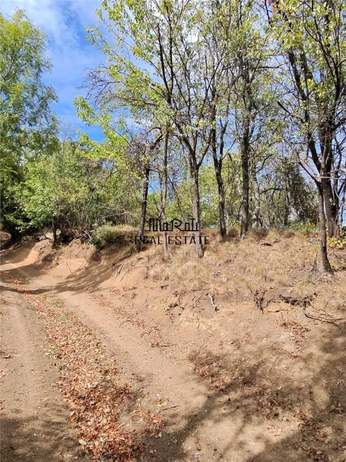 888 mp teren cu priveliste si cladiri in Mihaileni - foto 6