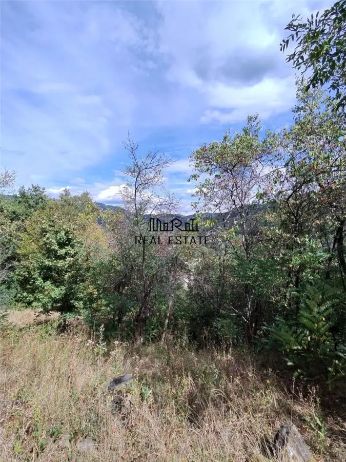 888 mp teren cu priveliste si cladiri in Mihaileni - foto 8